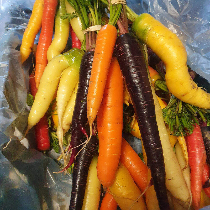 Morötter . 1kg/påse blandade färger