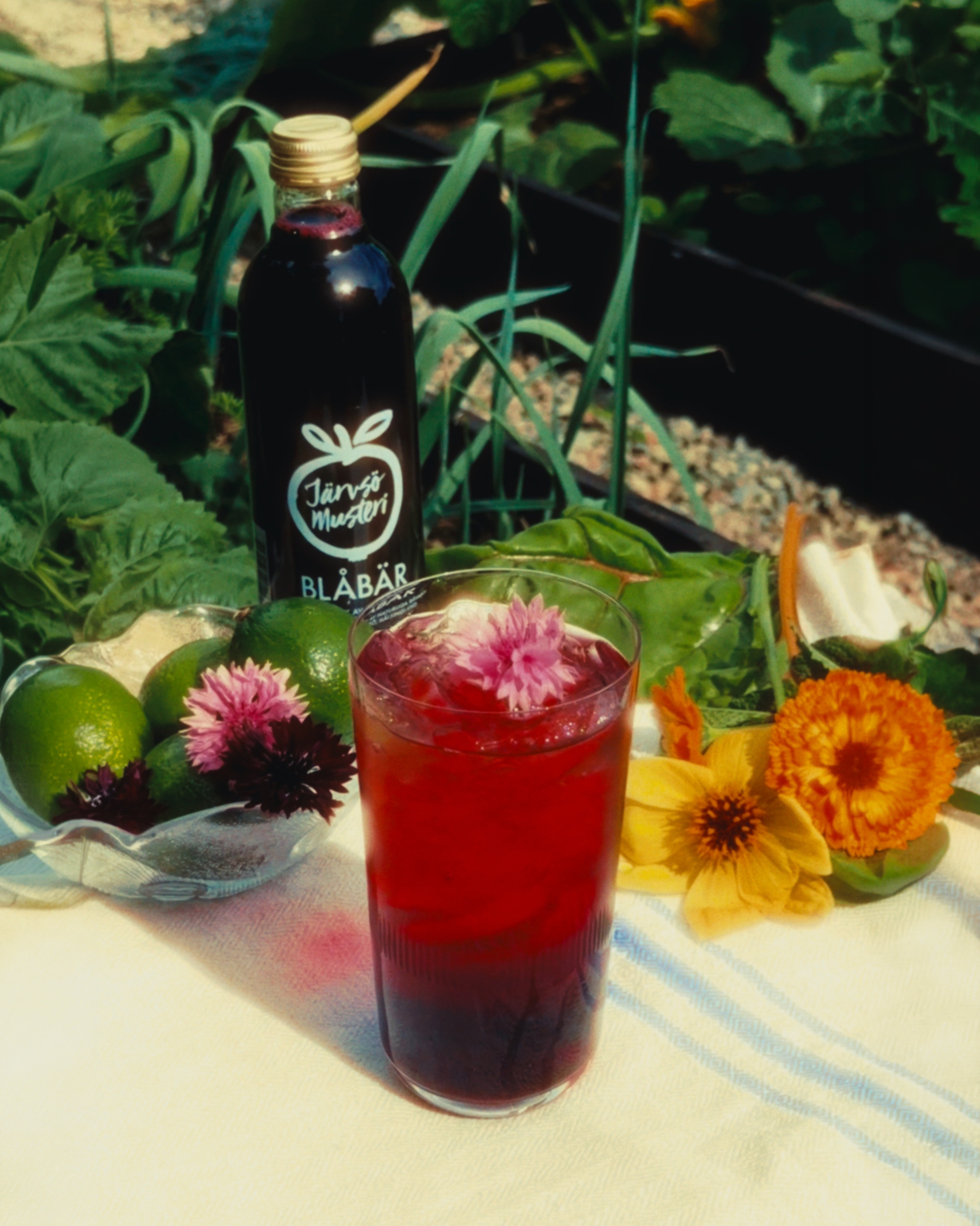 Blåbärsdryck 33cl - Bild 2